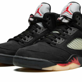 AIR JORDAN 5 WMNS "Gore-Tex" DR0092-001