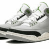 Air Jordan 3 Retro "Chlorophyll" 398614-006