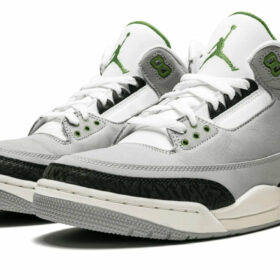 Air Jordan 3 Retro "Chlorophyll" 398614-006