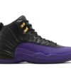 Air Jordan 12 Retro 'Field Purple' CT8013-057