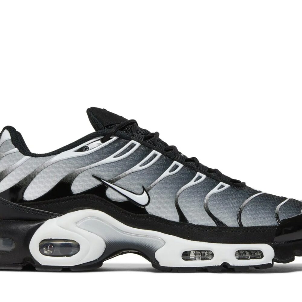 Air Max Plus 'Black Metallic Silver' DM0032-003