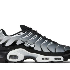 Air Max Plus 'Black Metallic Silver' DM0032-003