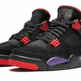 Air Jordan 4 Retro NRG "Raptors" AQ3816-065
