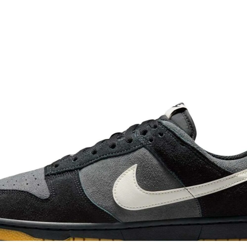 Nike Dunk Low Retro SE 'Black Anthracite Gum' HQ1931-001