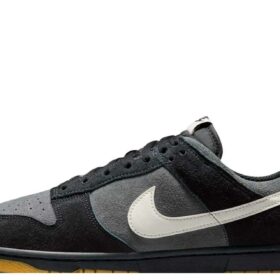 Nike Dunk Low Retro SE 'Black Anthracite Gum' HQ1931-001